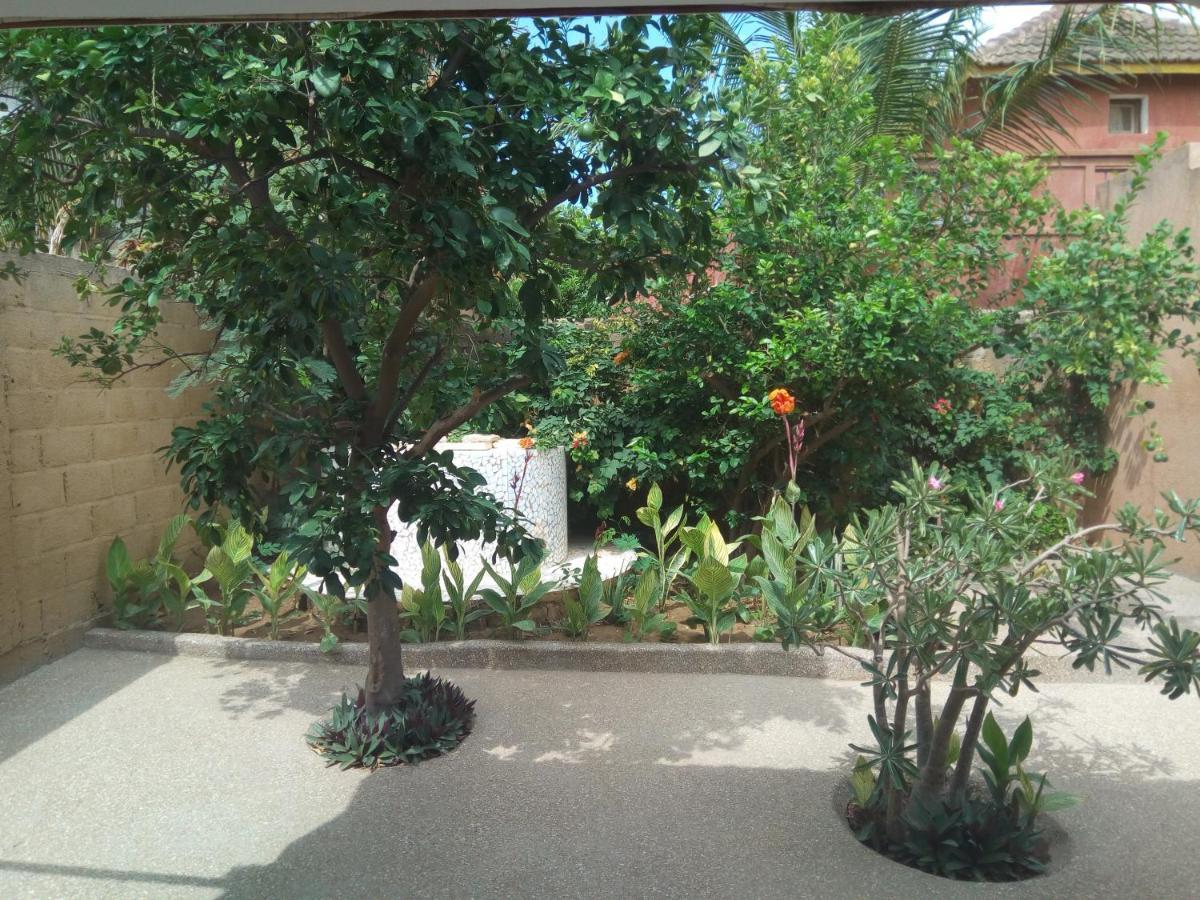 萨利波图尔Chez Coumba Et Daniel住宿加早餐旅馆 外观 照片