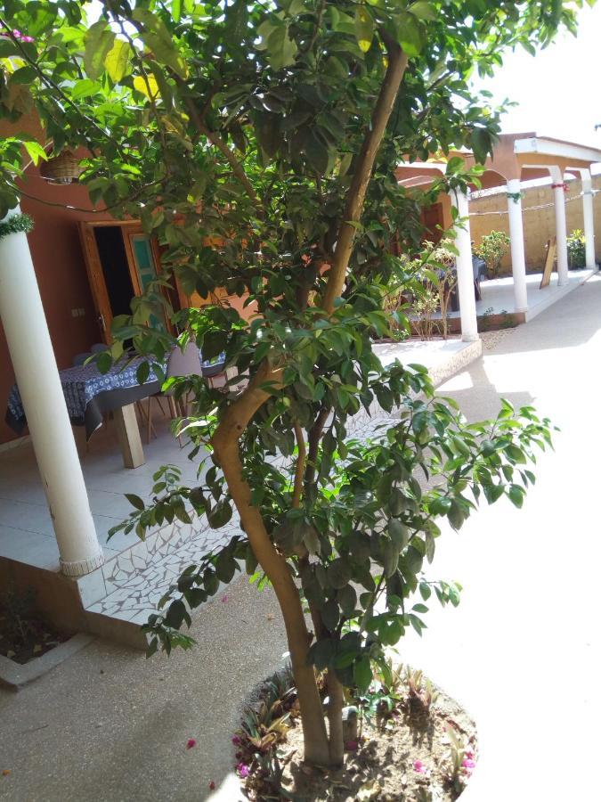 萨利波图尔Chez Coumba Et Daniel住宿加早餐旅馆 外观 照片